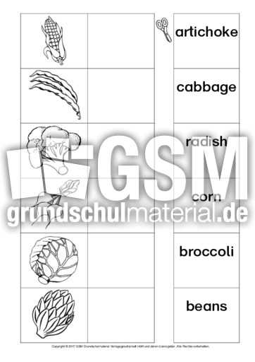 AB-vegetables-Zuordnung 3.pdf